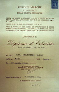 Diploma