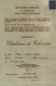 Diploma