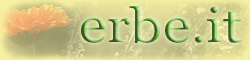Erbe.it