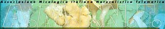 FunghiItaliani.it