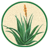 Prodotti all'Aloe Vera