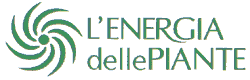 L'Energia delle piante