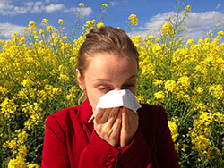 Allergie respiratorie