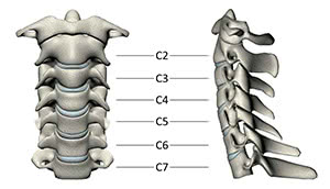 Il rachide cervicale