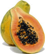 Papaya