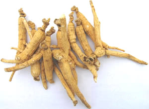 Ginseng