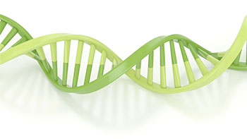 DNA
