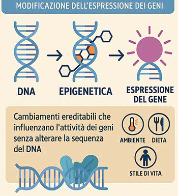 L'epigenetica in sintesi