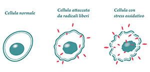 Radicali liberi e stress ossidativo