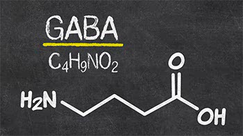 GABA
