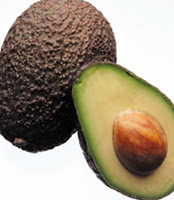 Avocado