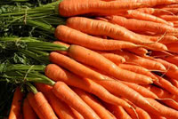 Carota