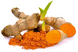 Curcuma