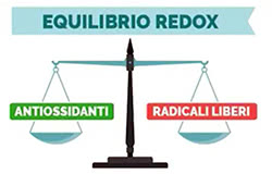 Equilibrio ossidativo