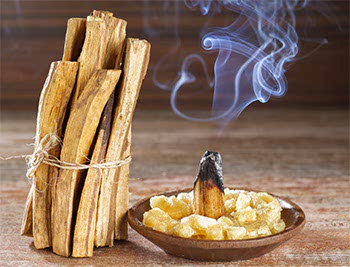 Palo Santo Palo Santo