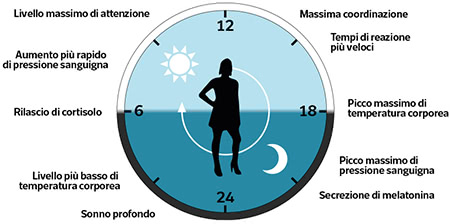 Ritmo circadiano e attivit fisiologiche