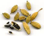 Cardamomo