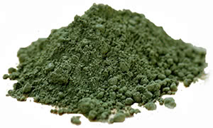 Spirulina maxima