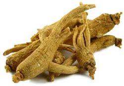 Ginseng