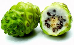 Noni