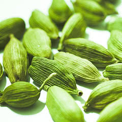 Cardamomo