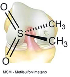 Metil-Sulfonil-Metano (MSM)