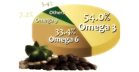 Gli acidi grassi della serie Omega: Omega-3 e Omega-6