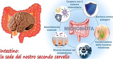 cosa mangiare per la dieta iposodica flora batterica intestinale e sistema immunitario