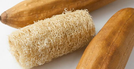 Luffa Luffa naturale Spugna Luffa ecologica Spugna Luffa Spugna esfoliante  Spugna da bagno Scrubber Luffa -  Italia