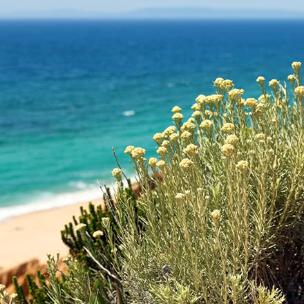 Prodotti di Sardegna