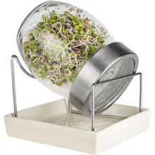 Geo - Bavicchi