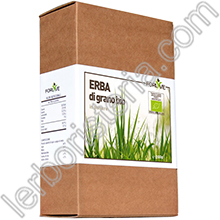 Erba di Grano Bio in Polvere