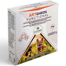 ArtGheos Functional