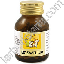 Boswellia Vet