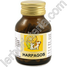 Harpagos
