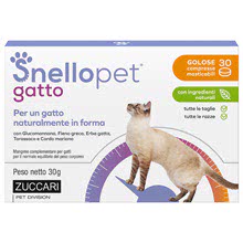 Snellopet Gatto