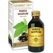 Ribes Nero Gemmoderivato Concentrato Analcolico Gemmo 10+