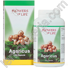 Agaricus Blazei Murril (ABM)