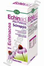Echinaid Sciroppo