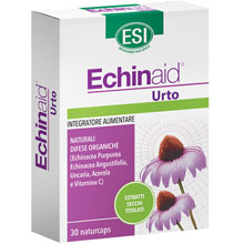 Echinaid Urto