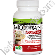 Micotherapy Polyporus