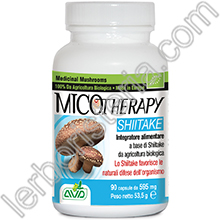 Micotherapy Shiitake