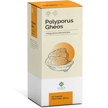 Polyporus Gheos Bio