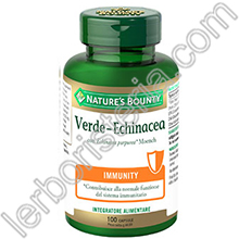 Verde - Echinacea