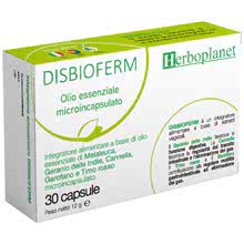 Disbioferm