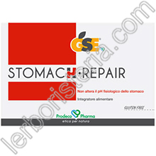 GSE Stomach Repair