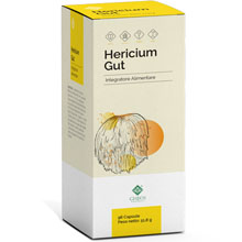 Hericium Gut