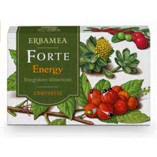 Forte Energy