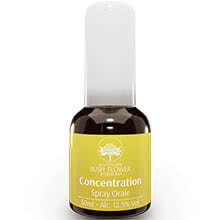 Australian Bush Flower Essences Concentration - Concentrazione - Spray Orale