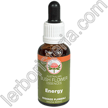 Australian Bush Flower Essences Energy